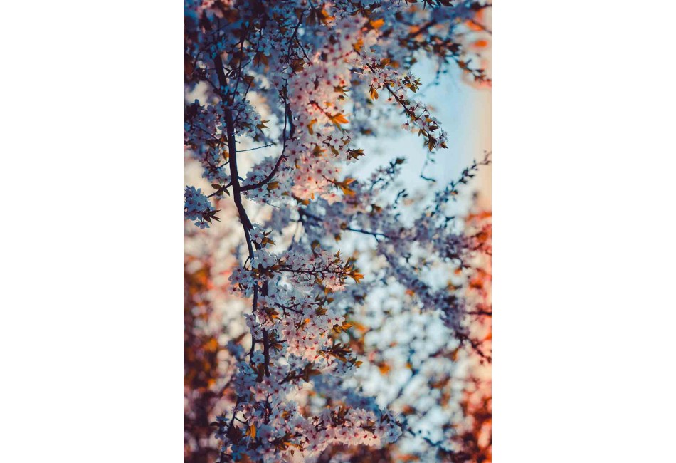 848-CR