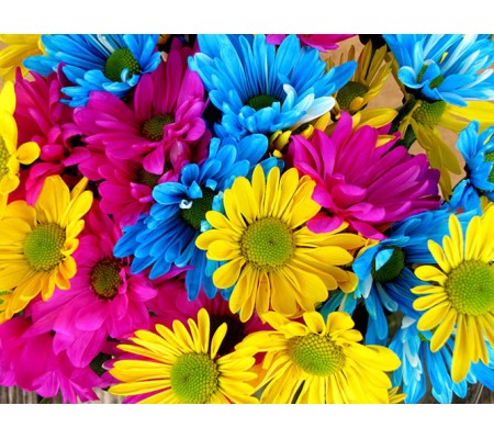 151-CR