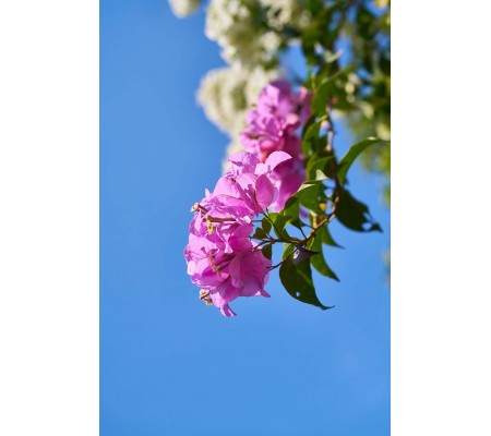 157-CR