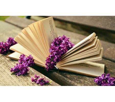 Κωδικός: 509-CR