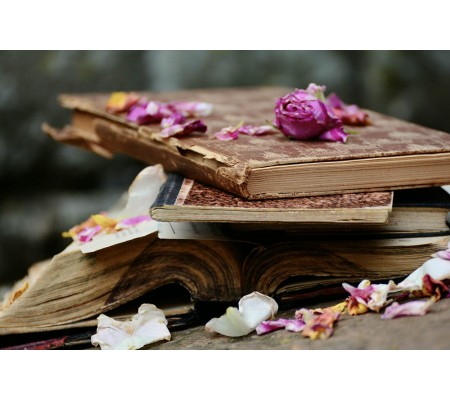 Κωδικός: 510-CR