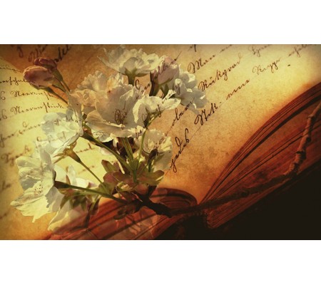 Κωδικός: 517-CR