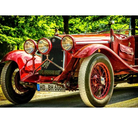 Κωδικός: 519-CR