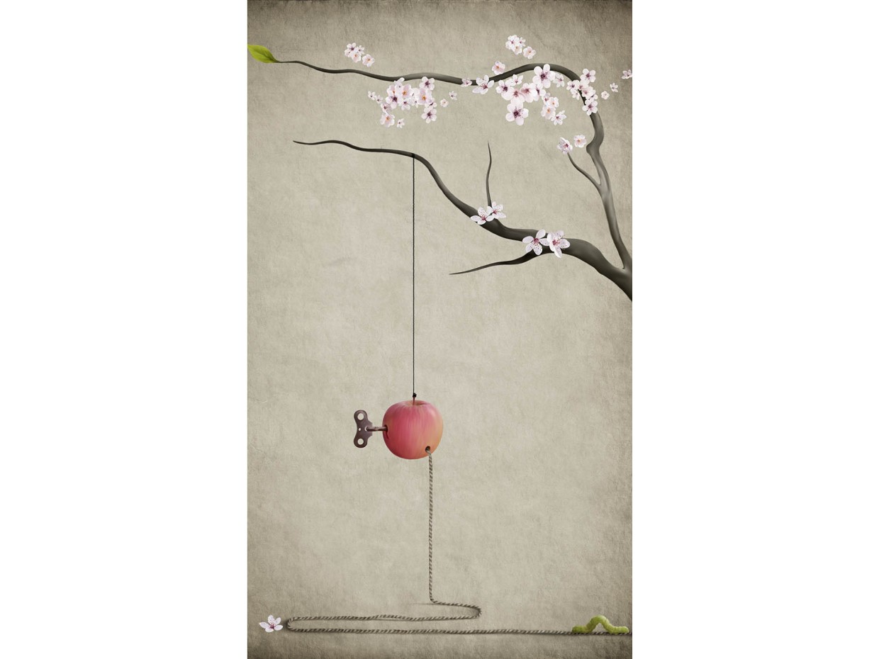 Κωδικός: 538-SR