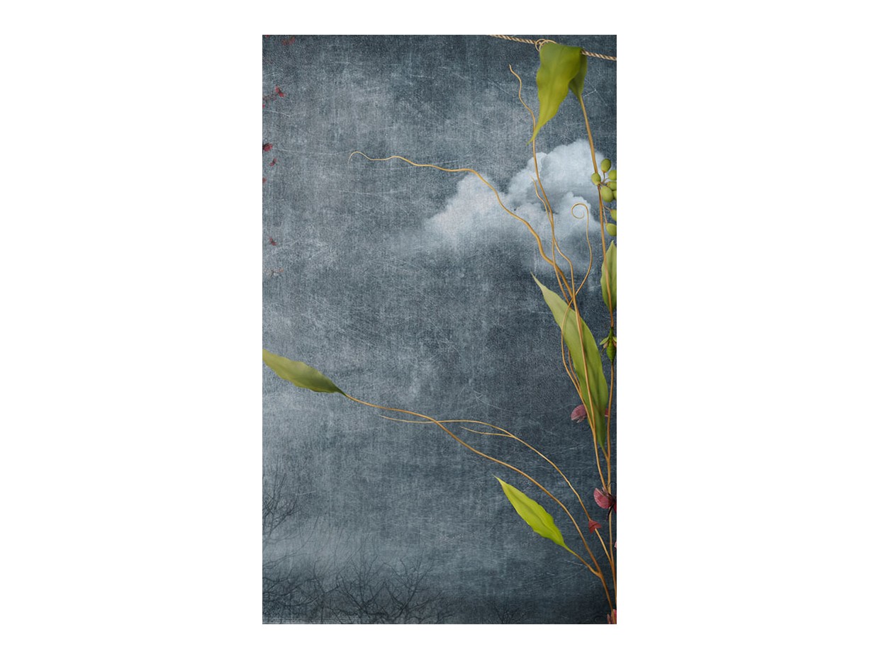 Κωδικός: 546-SR