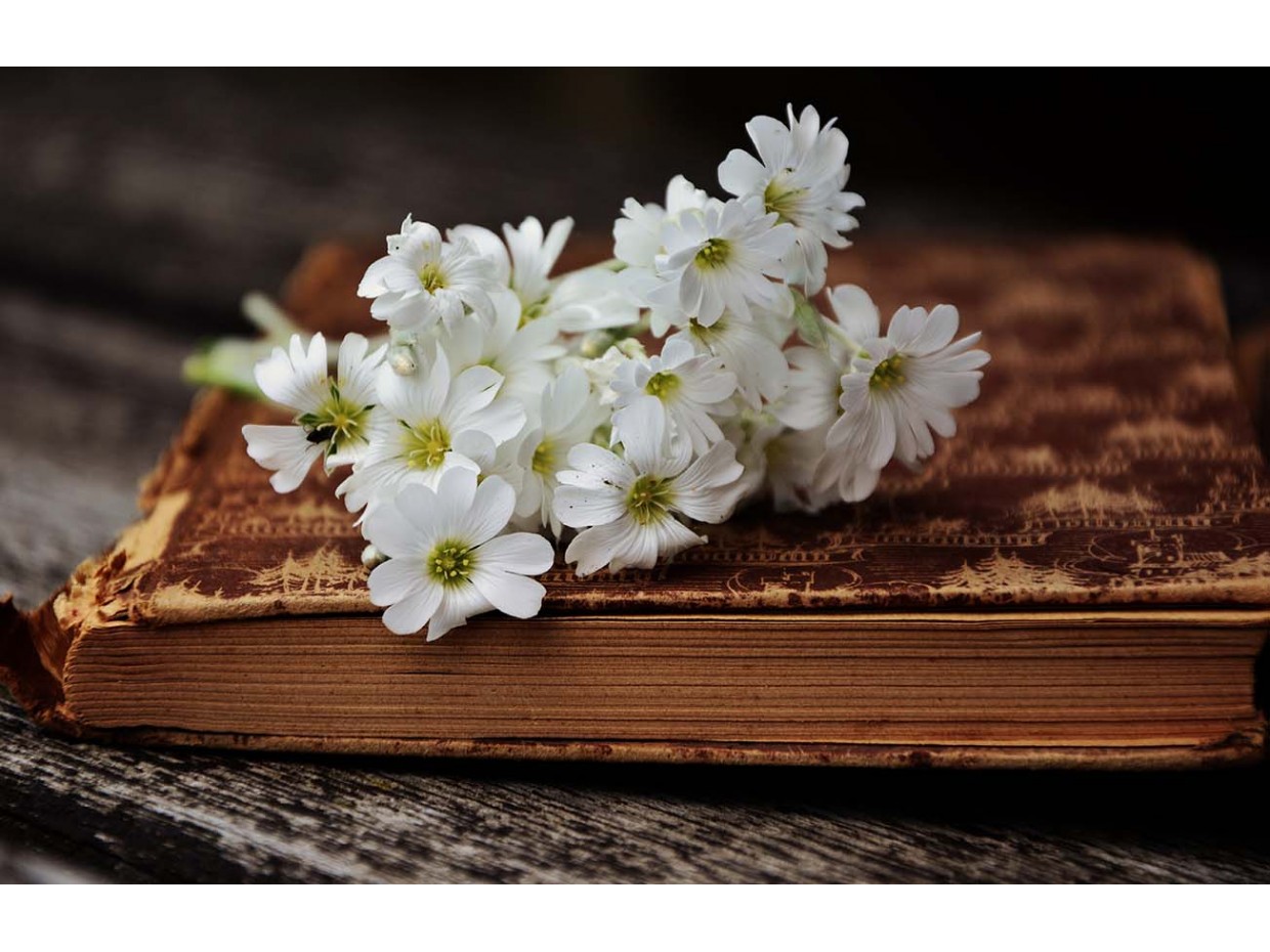 Κωδικός: 967-CR