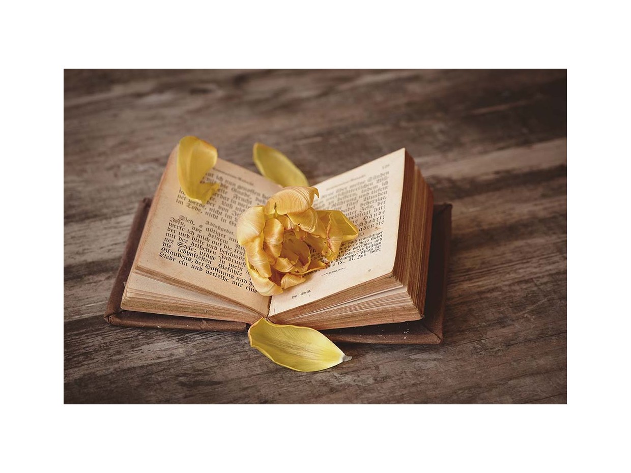 Κωδικός: 970-CR