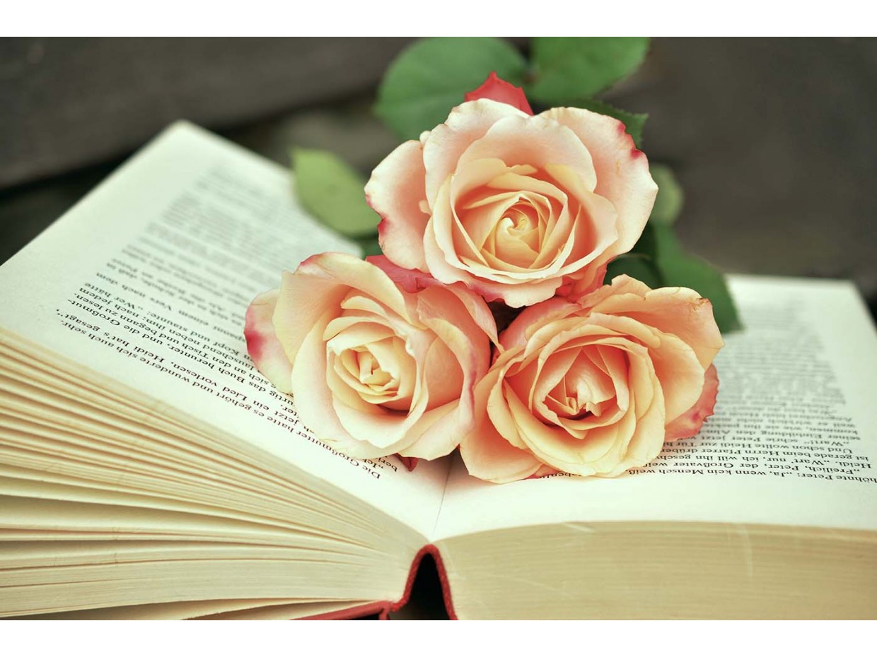 Κωδικός: 971-CR