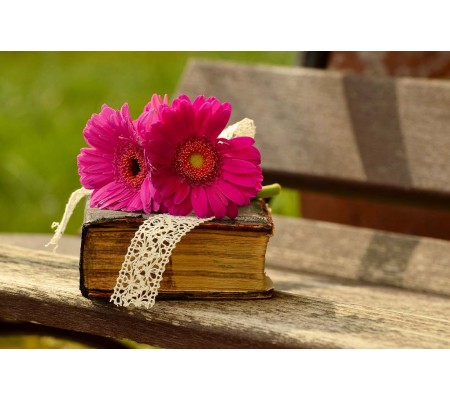 Κωδικός: 972-CR