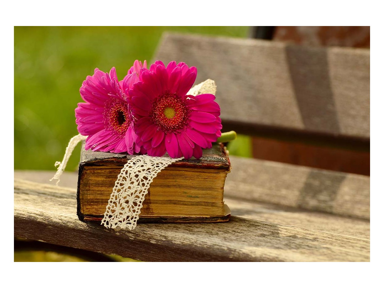 Κωδικός: 972-CR