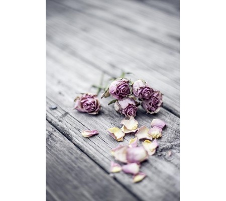 Κωδικός: 973-CR