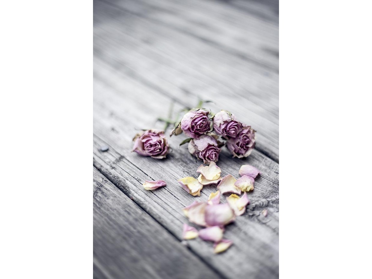 Κωδικός: 973-CR