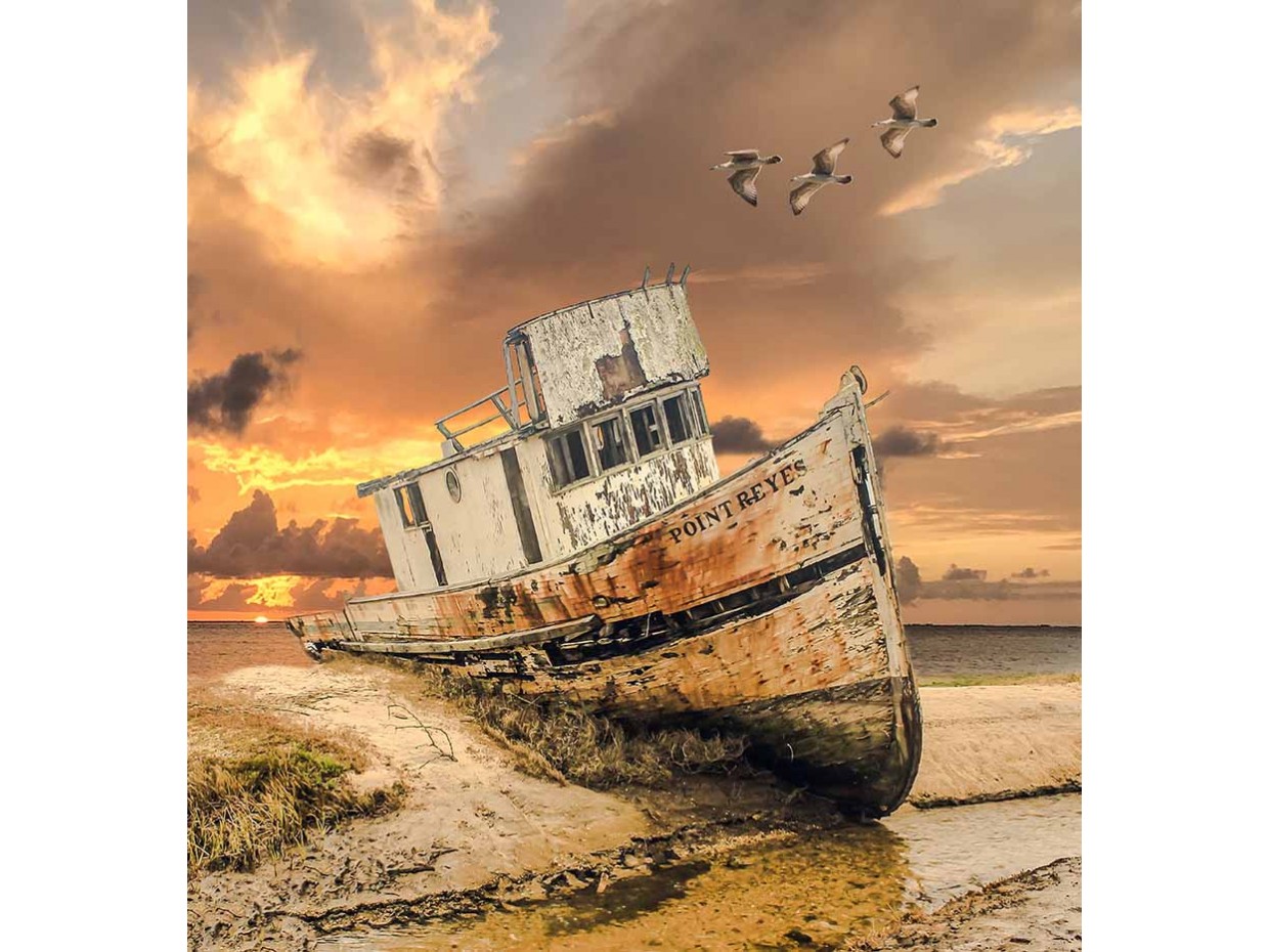 Κωδικός: 1020-CR