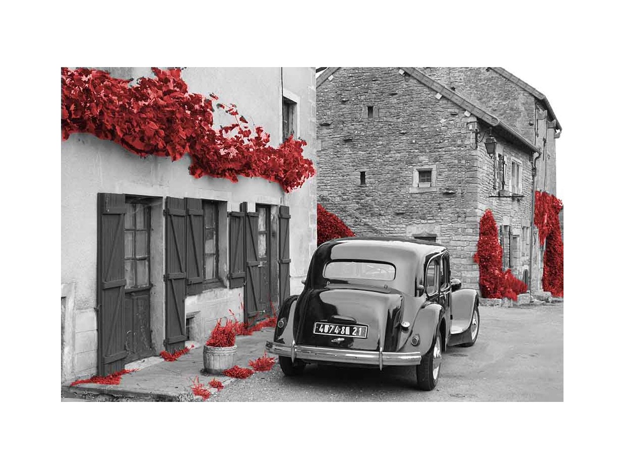 Κωδικός: 1024-CR