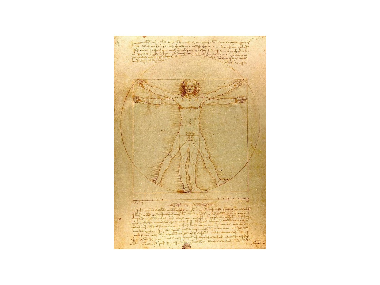 Κωδικός: 1033-CR