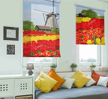 LANDSCAPES AND NATURE